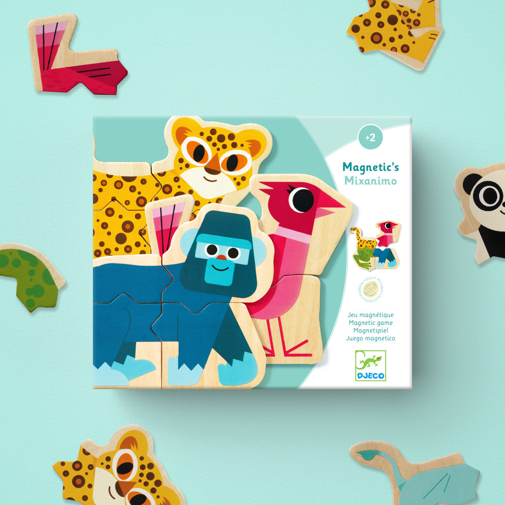 Magnetic Mixanimo Set